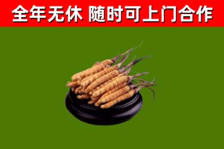 张北烟酒回收冬虫夏草.jpg