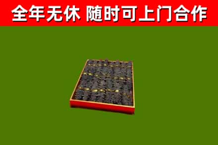 张北烟酒回收海参.jpg